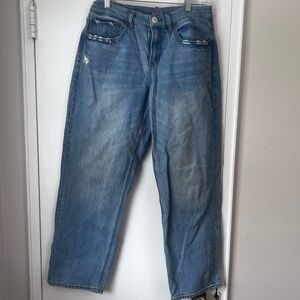 American Eagle 90s Low Rise Straight Jeans - Size 12/S